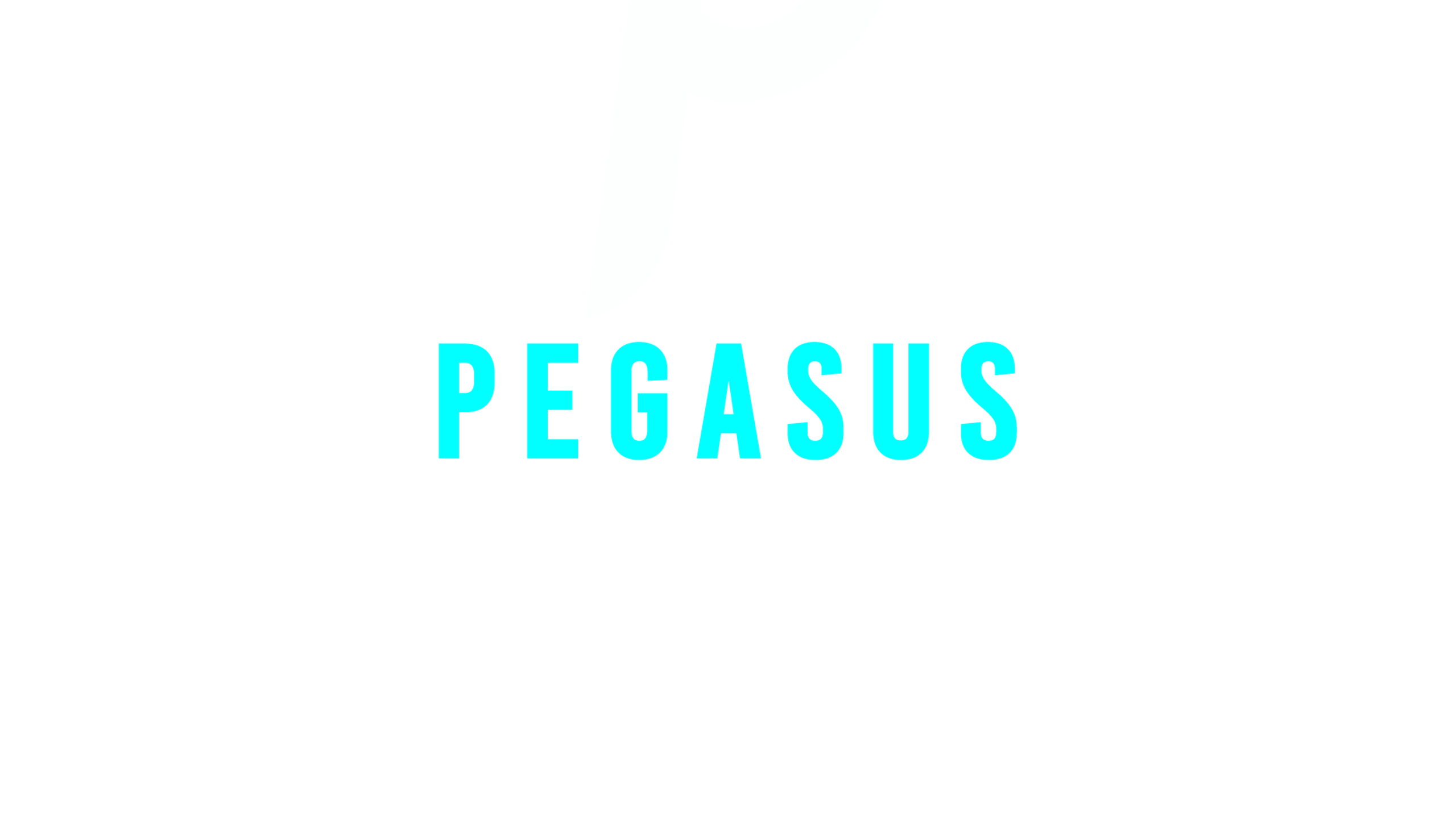 pegasus fitness factory